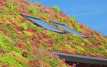 Shilton living roof systems