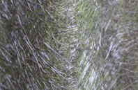 Shilton fibreglass roof work